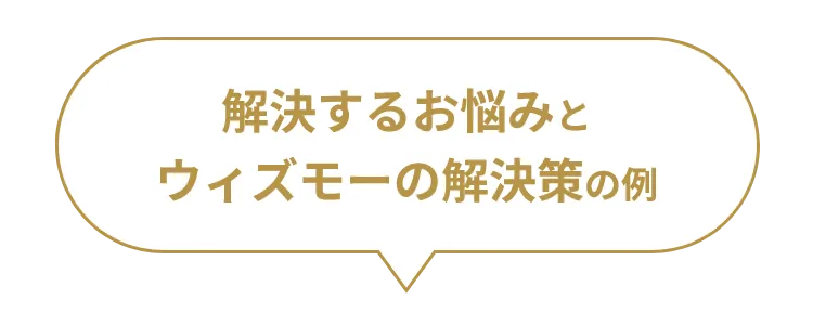 解決するお悩みとウィズモーの解決策の例