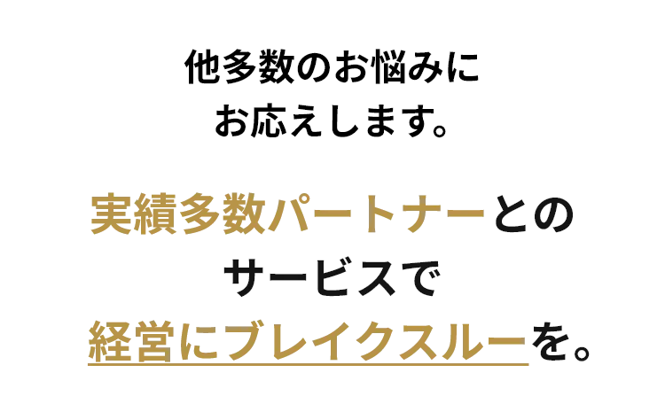 他多数のお悩みにお応えします。実績多数のパートナーとのサービスで経営にブレイクスルーを。